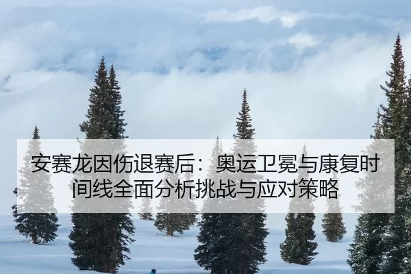 安赛龙因伤退赛后：奥运卫冕与康复时间线全面分析挑战与应对策略