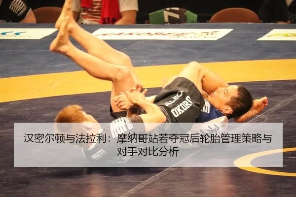 han-mi-er-dun-yu-fa-la-li-mo-na-ge-zhan-ruo-duo-guan-hou-lun-tai-guan-li-ce-lve-yu-dui-shou-dui-bi-fen-xi-2-337.jpg